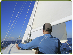 Invest in Trust Deed Investments